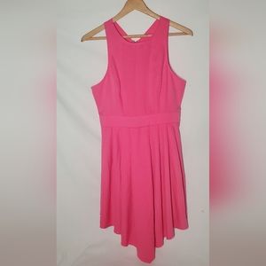 Windsor Hot Pink Dress